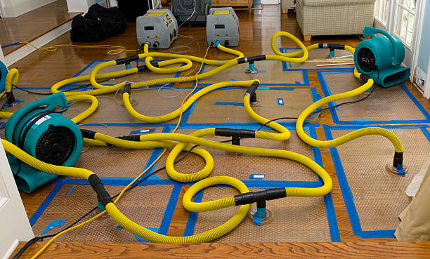 Professional Crawl Space Water Removal technician working in Clifford, MI
